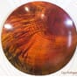 76ICSAM_Rel brent orange 1.JPG