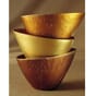 201101_Rel goldfinger bilde.JPG
